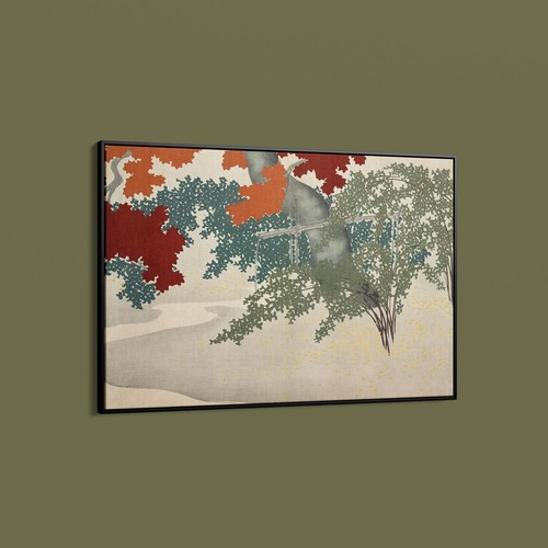 Kamisaka sekka maple - sekka, from