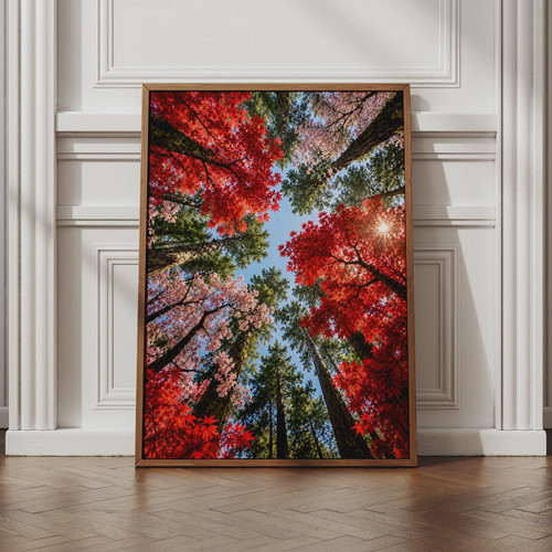 Japanese forest canopy - japanese, poster